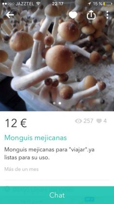 MONGUIS MEJICANAS